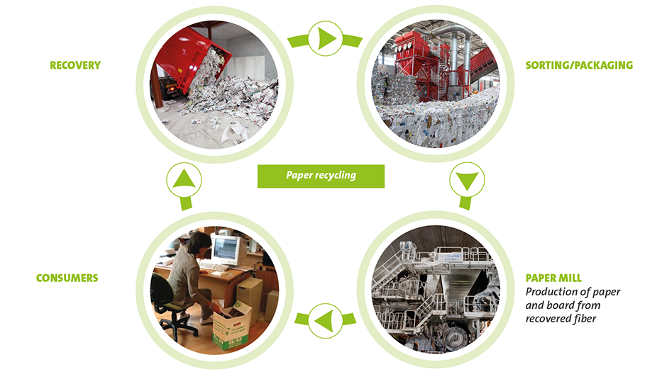 Papier EN